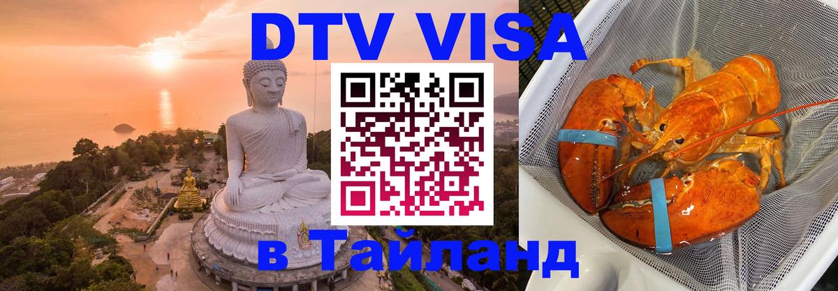 Сколько стоит DTV виза — актуальные цены, оформление даже без документов - 21.11.2025 